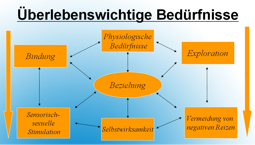 Grundbedrfnisse Von Kindern