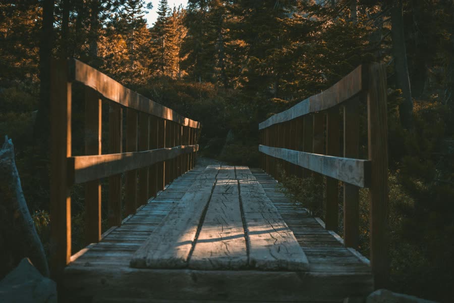 Eine schmale Holzbrücke führt durch einen herbstlichen Wald, warmes Abendlicht auf den Planken