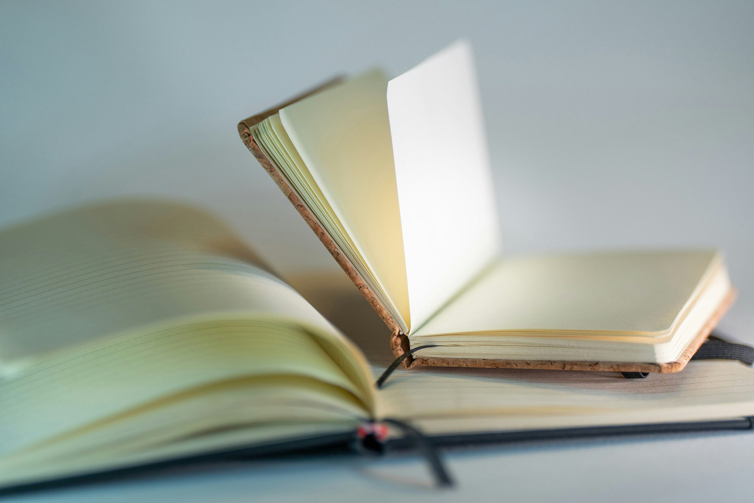 Ein aufgeschlagenes Notizbuch mit leeren Seiten