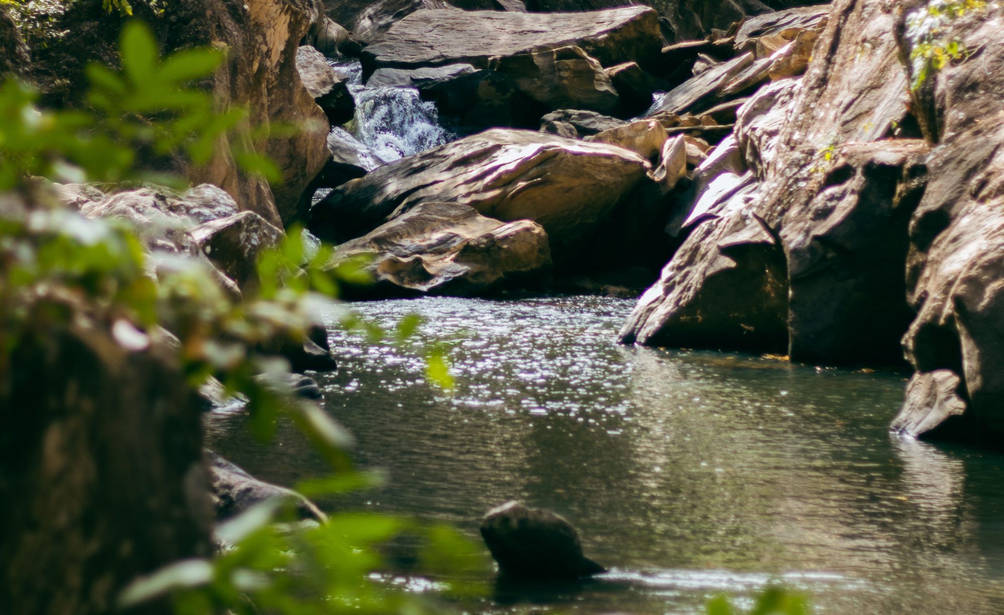 Ein Fluss fließt zwischen sonnenbeschienenen Felsen durch einen grünen Wald